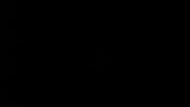 Colour:Zmohq7mqaew= Dark Black