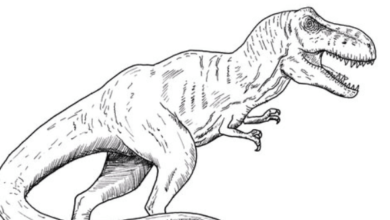 Drawing:3rhqmobyrde= Dino