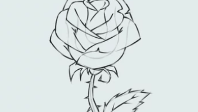 Drawing:B6yad8or5mm= Flowers