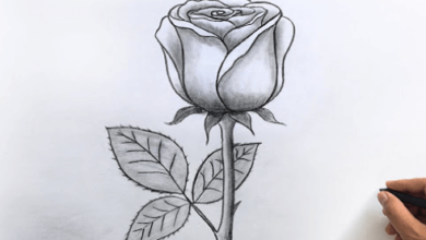 Drawing:Jpqeilqq8qm= Flowers