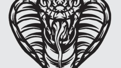 Drawing:R5bukvkyip8= Snakes