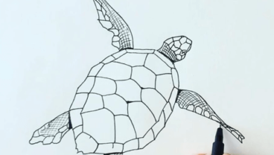 Drawing:Sntboprbahm= Tutle