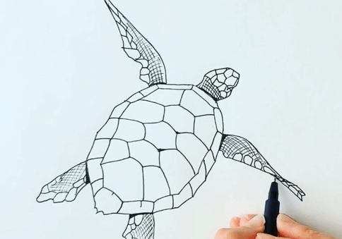 Drawing:Sntboprbahm= Tutle