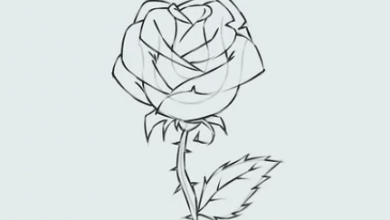 Flower:Jpqeilqq8qm= Draw