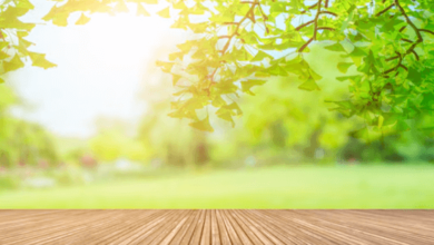 Nature:5nor5a-Vhpg= Background