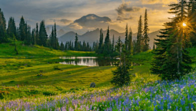 Nature:Wazqx2aizv4= Landscape