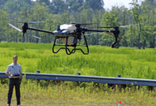 DJI Crop Spraying Drones in Auburn