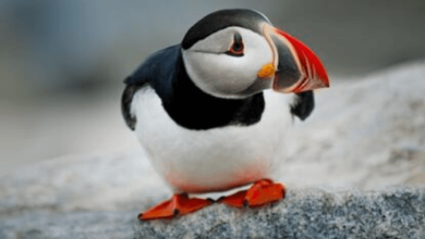 200M Ocadoreedbloomberg