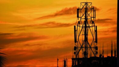 telecommunication oversight division numbers