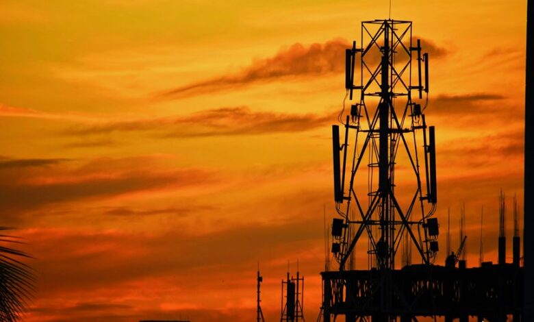 telecommunication oversight division numbers