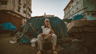 business updates and statistics