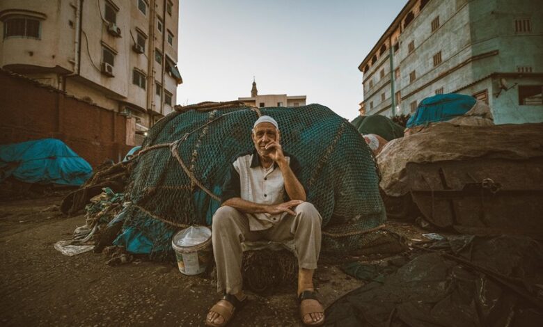 business updates and statistics