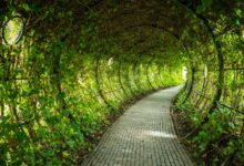 enterprise growth strategy overview