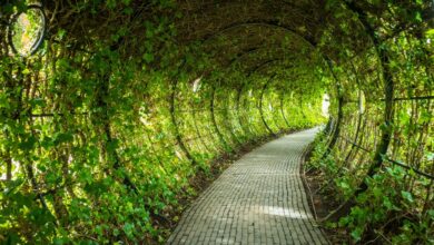 enterprise growth strategy overview