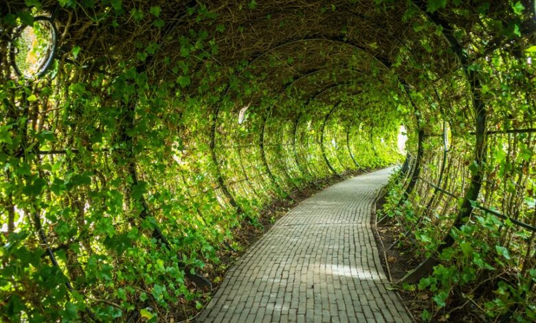 enterprise growth strategy overview