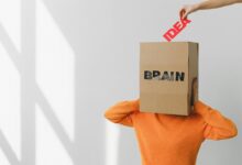 executive data analysis insights