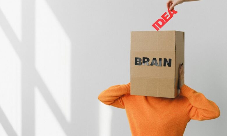 executive data analysis insights