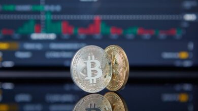 global market opportunity assessment