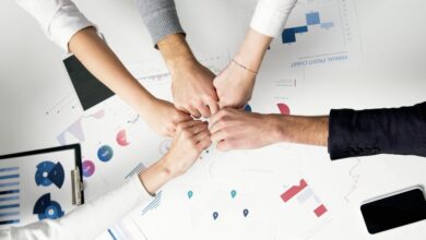 innovation and growth strategies