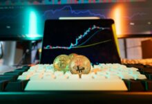 market analysis and opportunities